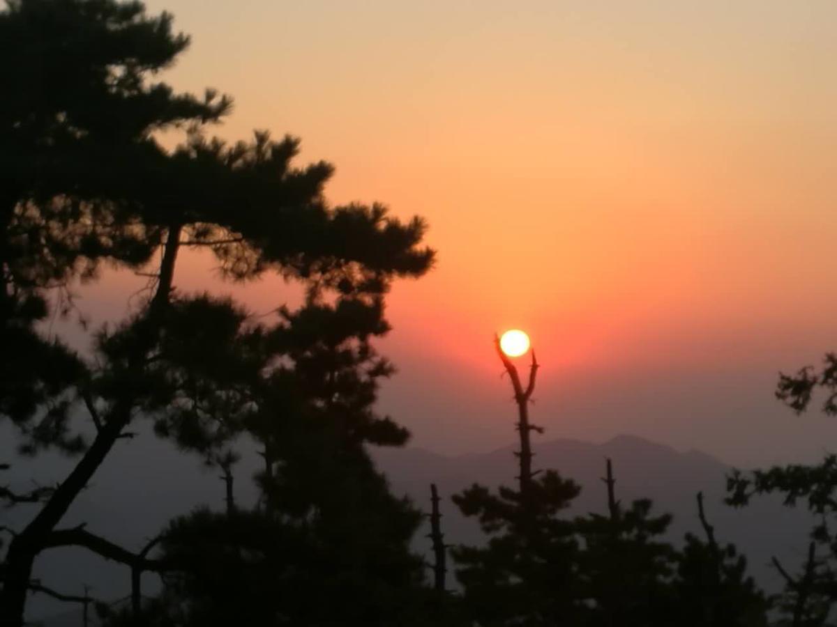 Mogan Mountain Xiaomusensen Villa Deqing Buitenkant foto