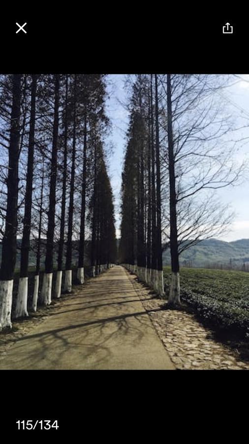 Mogan Mountain Xiaomusensen Villa Deqing Buitenkant foto