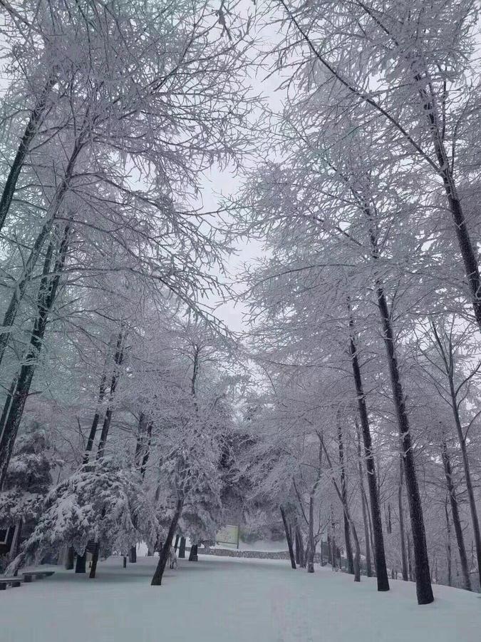 Mogan Mountain Xiaomusensen Villa Deqing Buitenkant foto