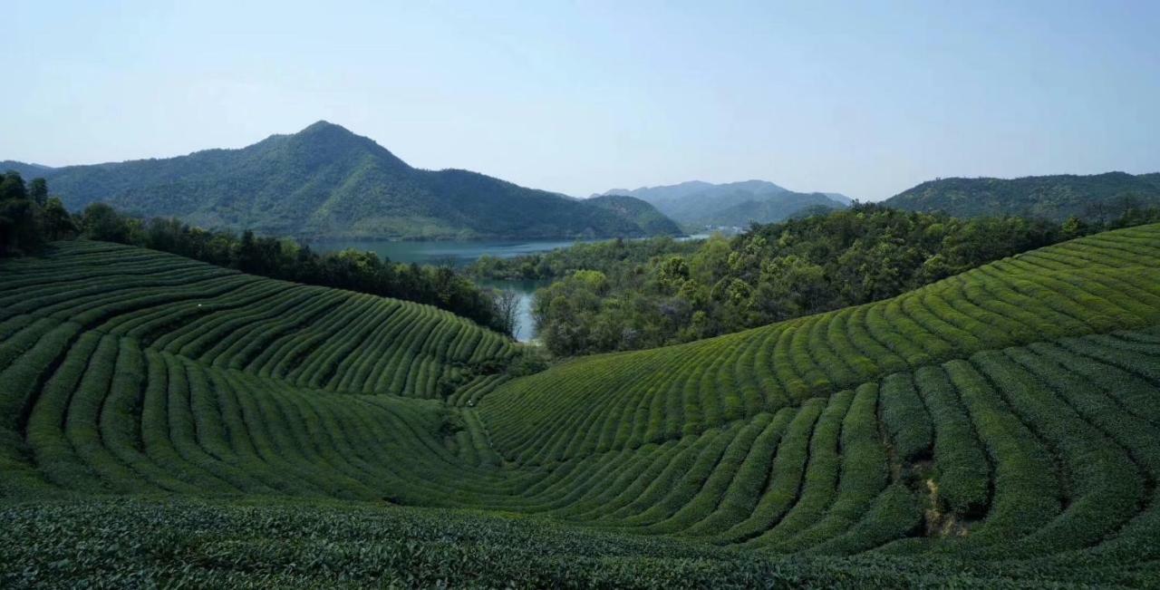 Mogan Mountain Xiaomusensen Villa Deqing Buitenkant foto